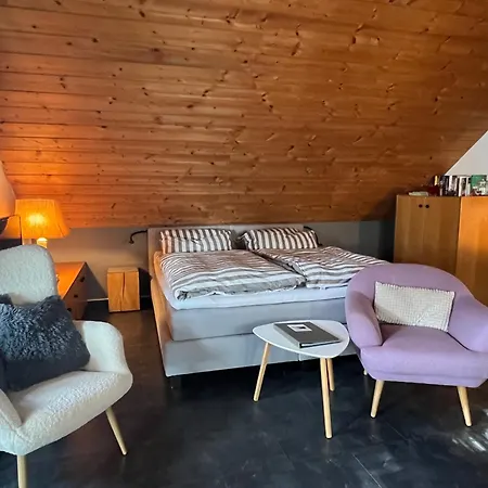 Stolzing-apart Apartment Bayreuth